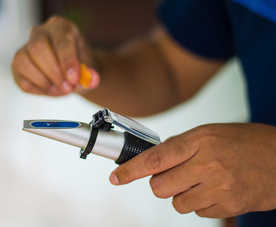 拉斯维加斯9888(й)ٷվ