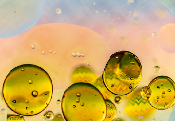 拉斯维加斯9888(й)ٷվ